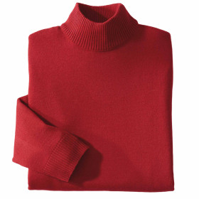 Pull mérinos col cheminée (2)