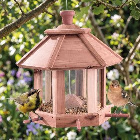 Mangeoire à oiseaux (2)
