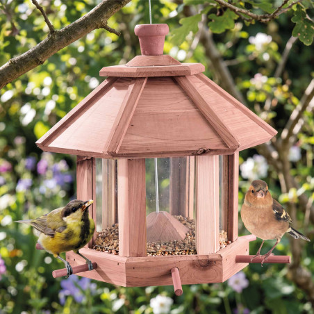 Mangeoire à oiseaux (2)