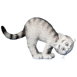Chat "On joue"