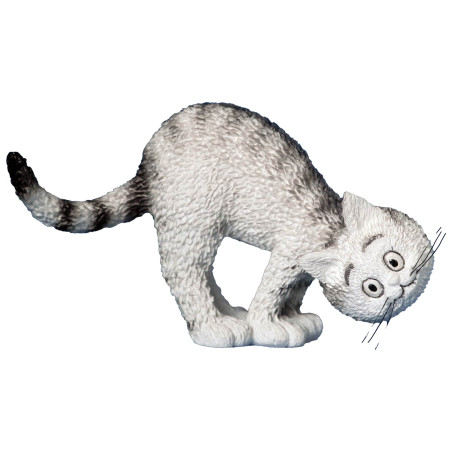 Chat "On joue"
