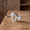 Chat "On joue" (2)