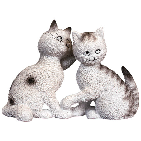 Chat "Les confidences"