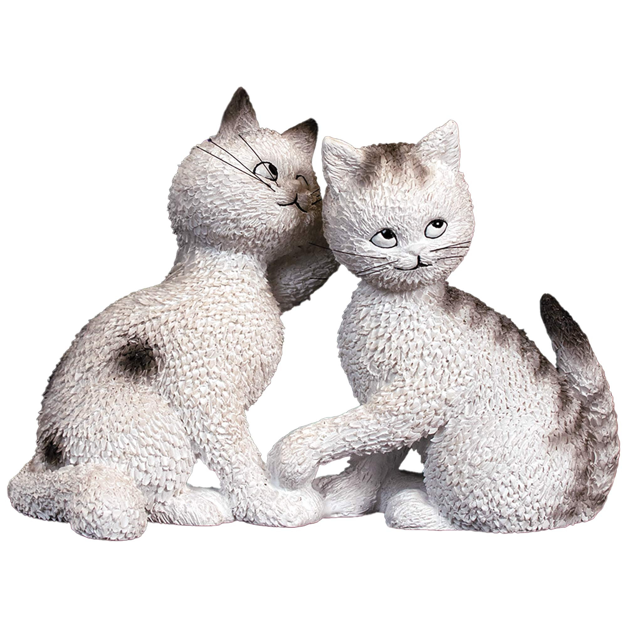 Chat "Les confidences"
