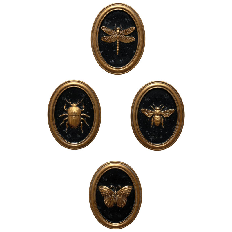 Les quatre cadres entomologiques