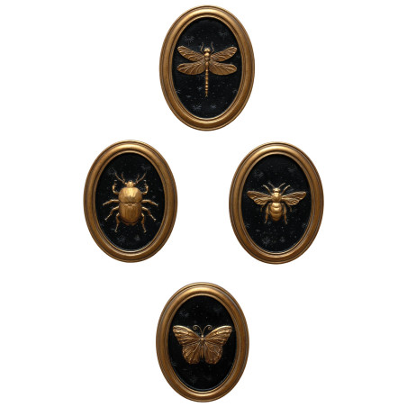 Les quatre cadres entomologiques