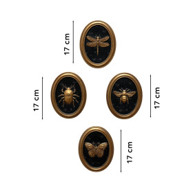Les quatre cadres entomologiques (3)