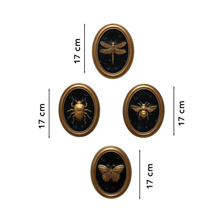 Les quatre cadres entomologiques (3)