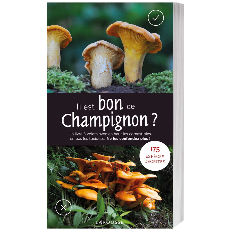 Il est bon ce champignon ?
