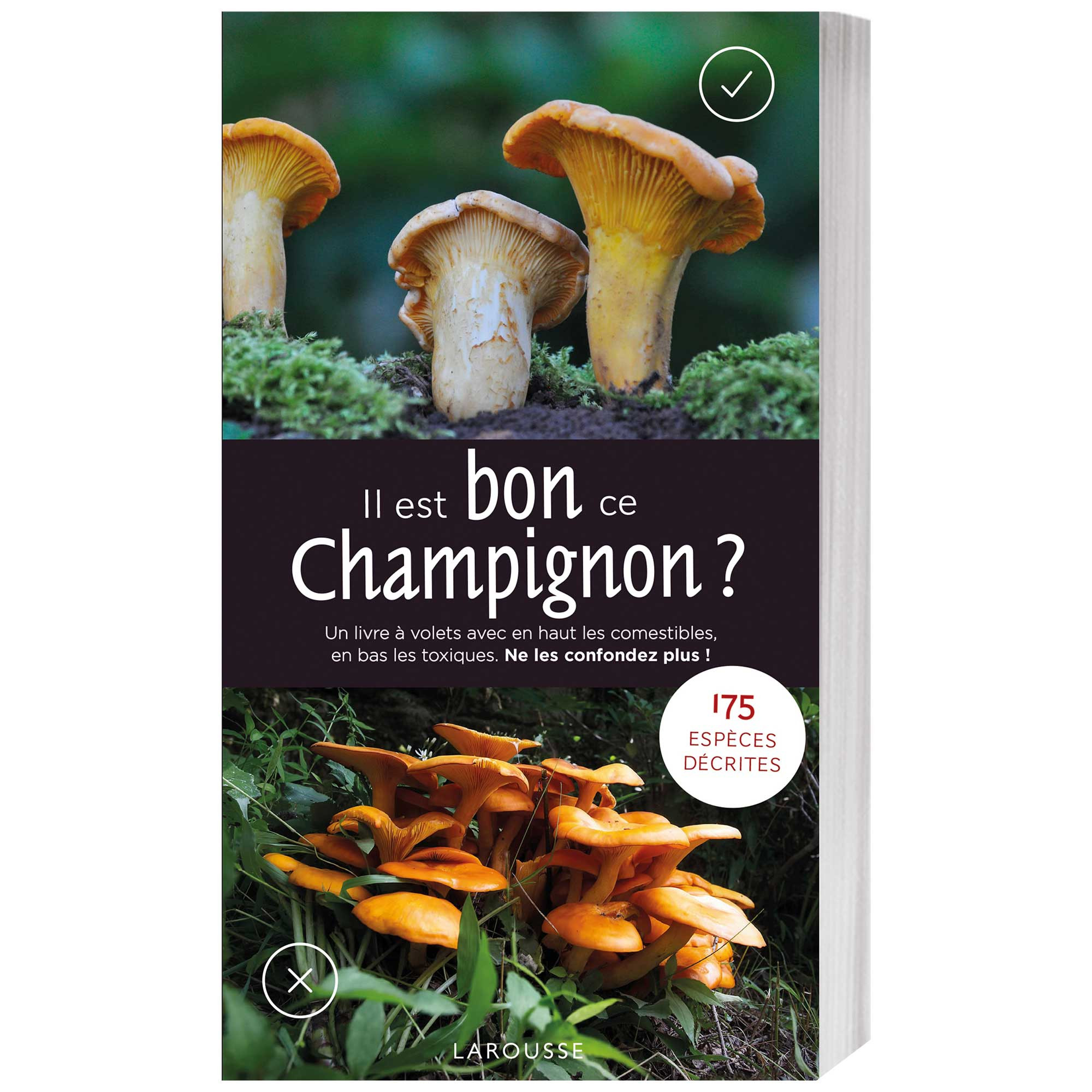 Il est bon ce champignon ?