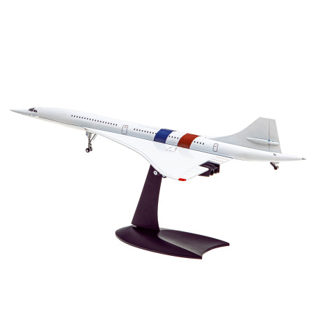 Reproduction avion supersonique (3)