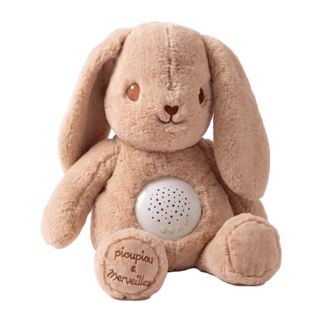 Marcel le lapin musical et lumineux