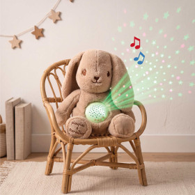 Marcel le lapin musical et lumineux (2)