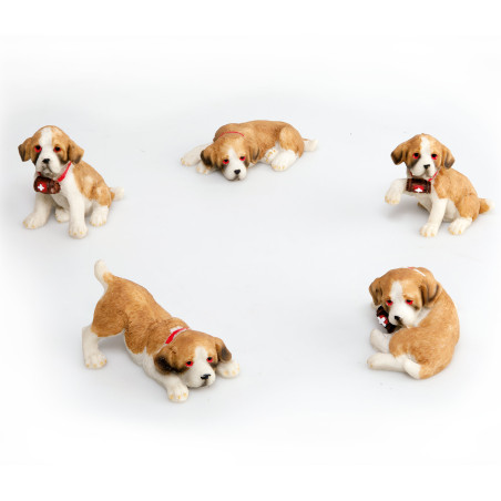 Le lot de cinq Saint-Bernard