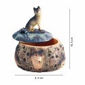 La boîte loup (4)