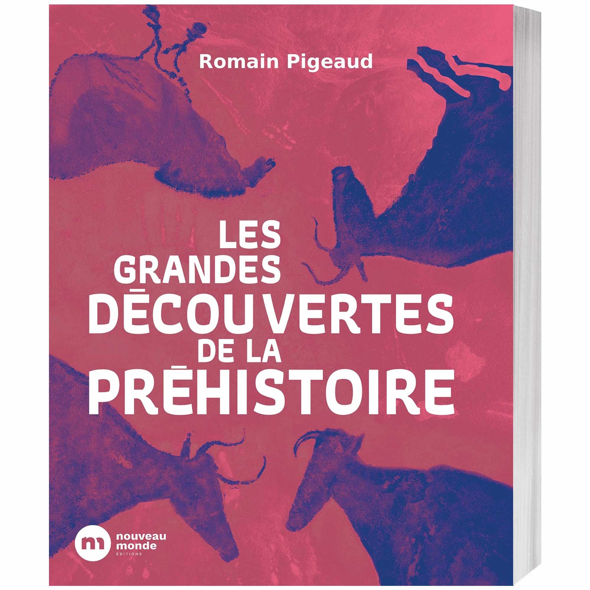 Les Grandes Découvertes de la Préhistoire