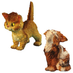 Les deux chats