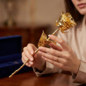 La rose dorée éternelle (3)