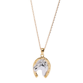 Le pendentif porte-bonheur