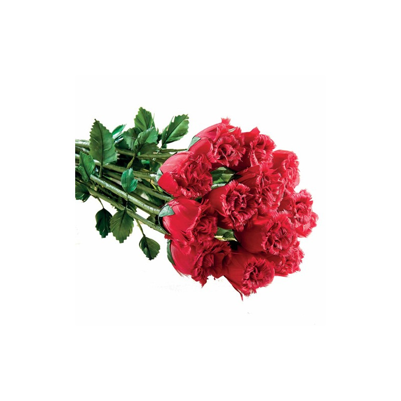 Bouquet «plumes de roses»