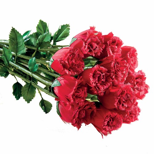 Bouquet «plumes de roses»