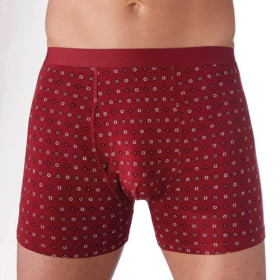 Boxers kangourou