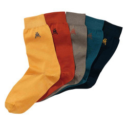 Chaussettes fil d’Écosse Colors