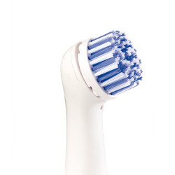 Brosse électrique 5 en 1