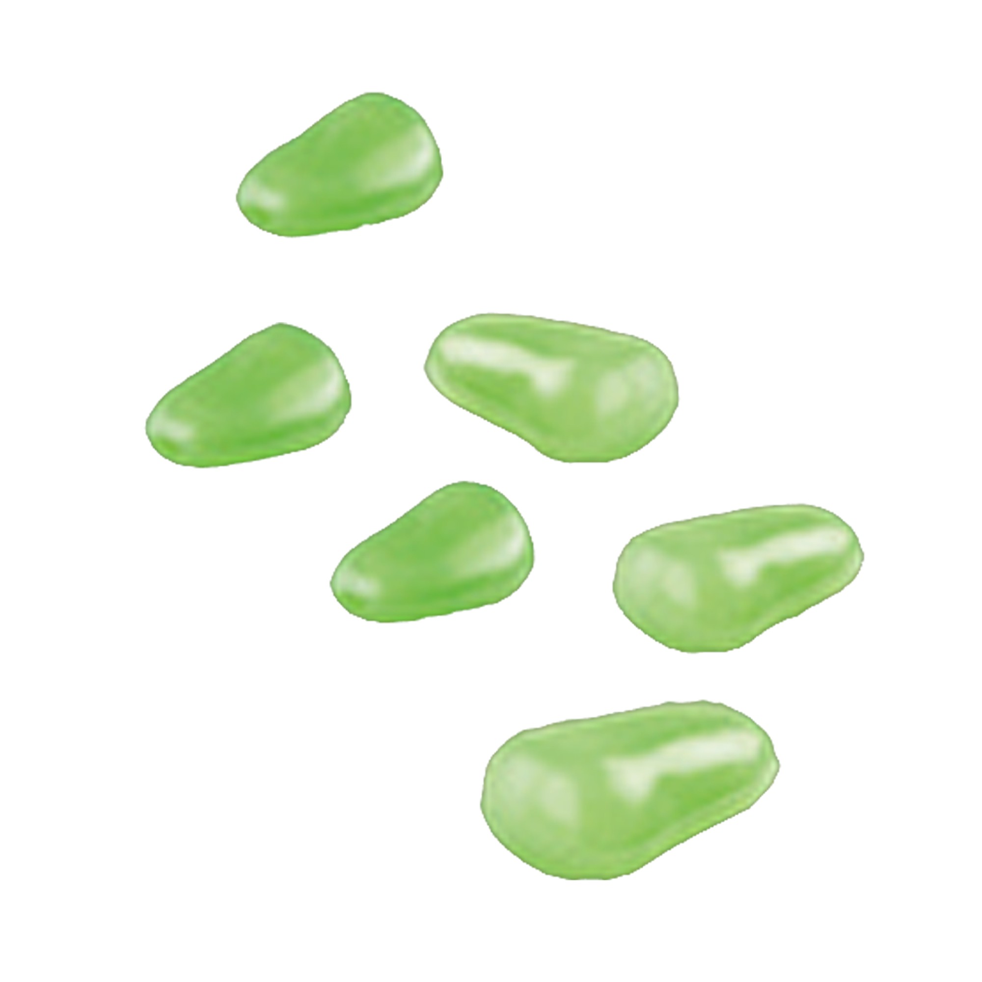 Galets lumineux - les 100