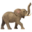 L’éléphant d’Afrique