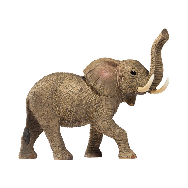 L’éléphant d’Afrique