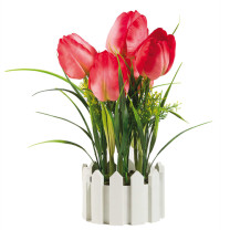 Les tulipes "éternelles"