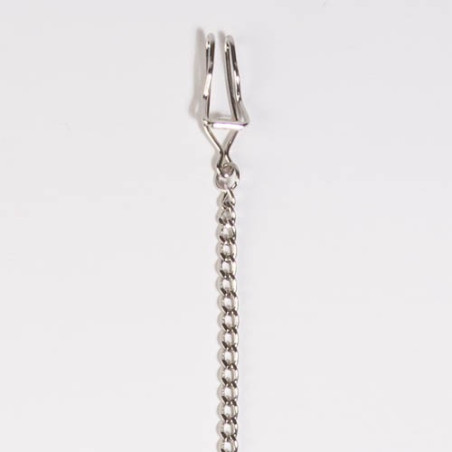 Montre gousset chasse