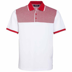 Polo Maille Piquée Bicolore