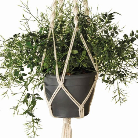 Support plante macramé