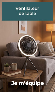 Ventilateur de table