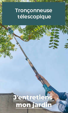 Tronçonneuse télescopique compacte