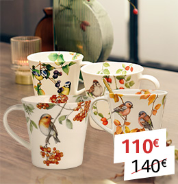 Mugs oiseaux - Les 4