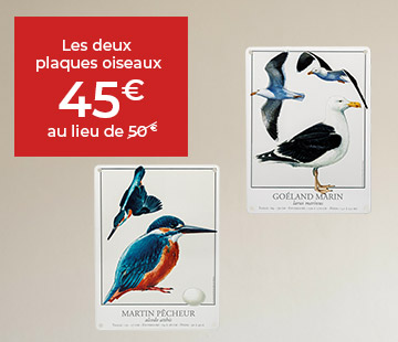 
													Les deux plaques oiseaux
											