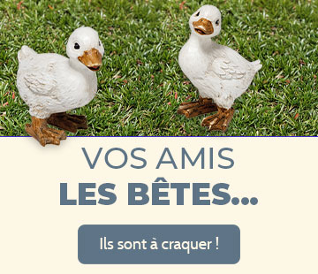 Bannière mobile 1 ligne 2